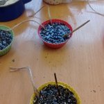 phoca_thumb_m_zajci a ptci 16 Fotogalerie